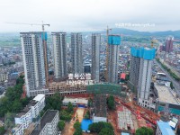 实景图