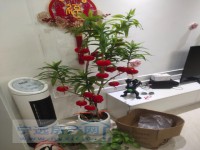 其它图