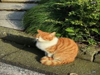 宁远首府壹号 宁远首府壹号