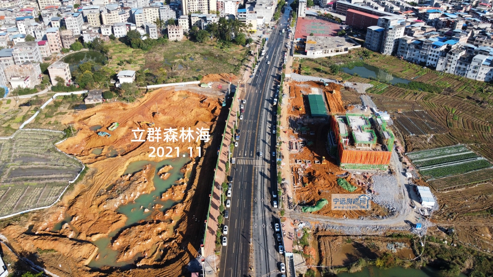 森林海.jpg