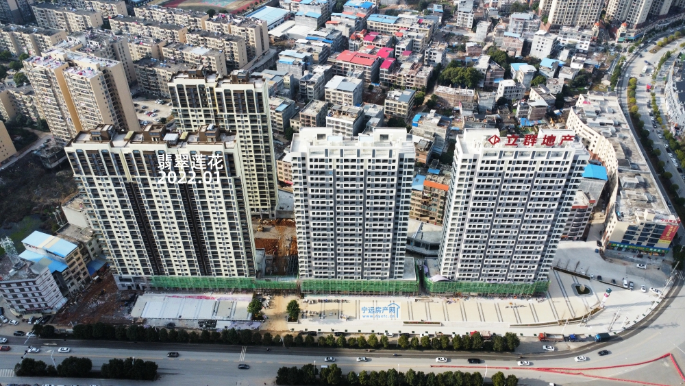 翡翠莲花.jpg