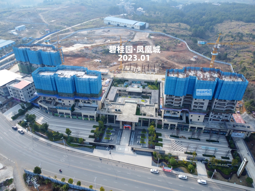 DJI_0202.JPG