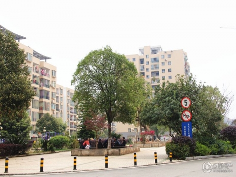 九疑南路边上的现房，莲花小学学区免费停车 印山花园